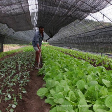 Malla 100% HDPE parasol para protección vegetal